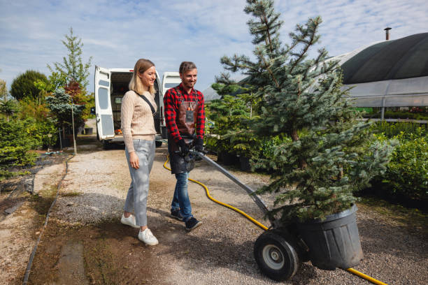 Best Local Tree Services  in Cera, AL